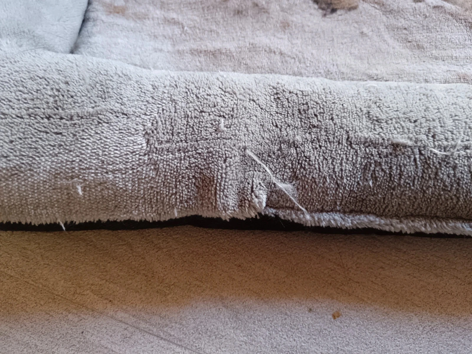 Cesta para gato – photo 2